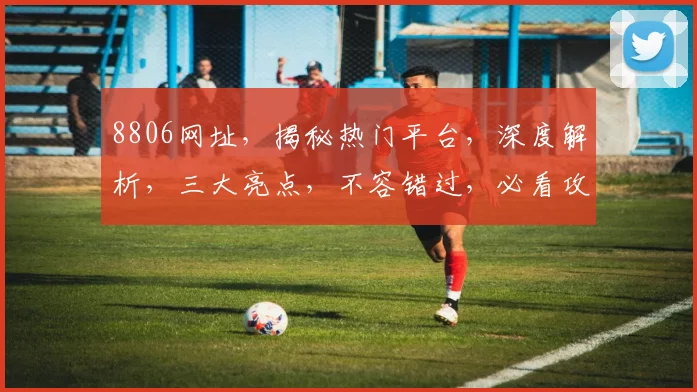 8806网址，揭秘热门平台，深度解析，三大亮点，不容错过，必看攻略