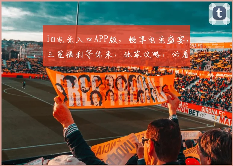 im电竞入口APP版,畅享电竞盛宴,三重福利等你来,独家攻略,必看